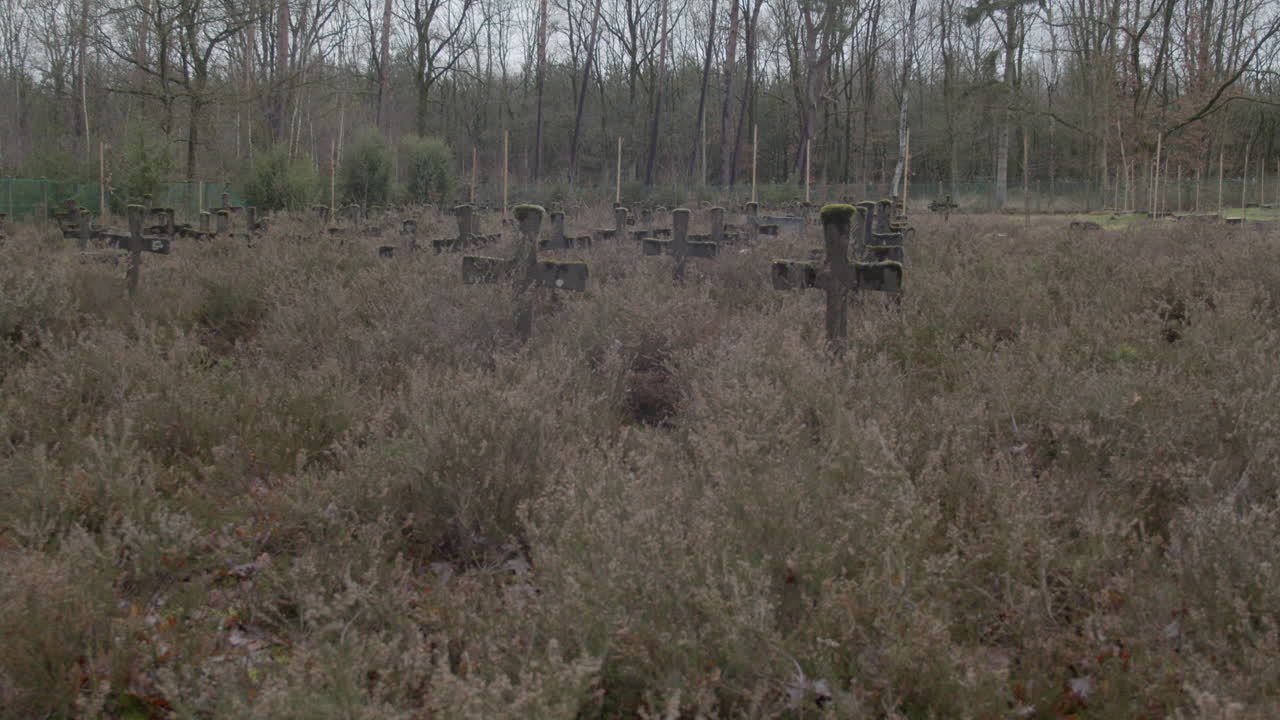 잡초가 자란 묘지에서 정적 샷 오래된 묘비