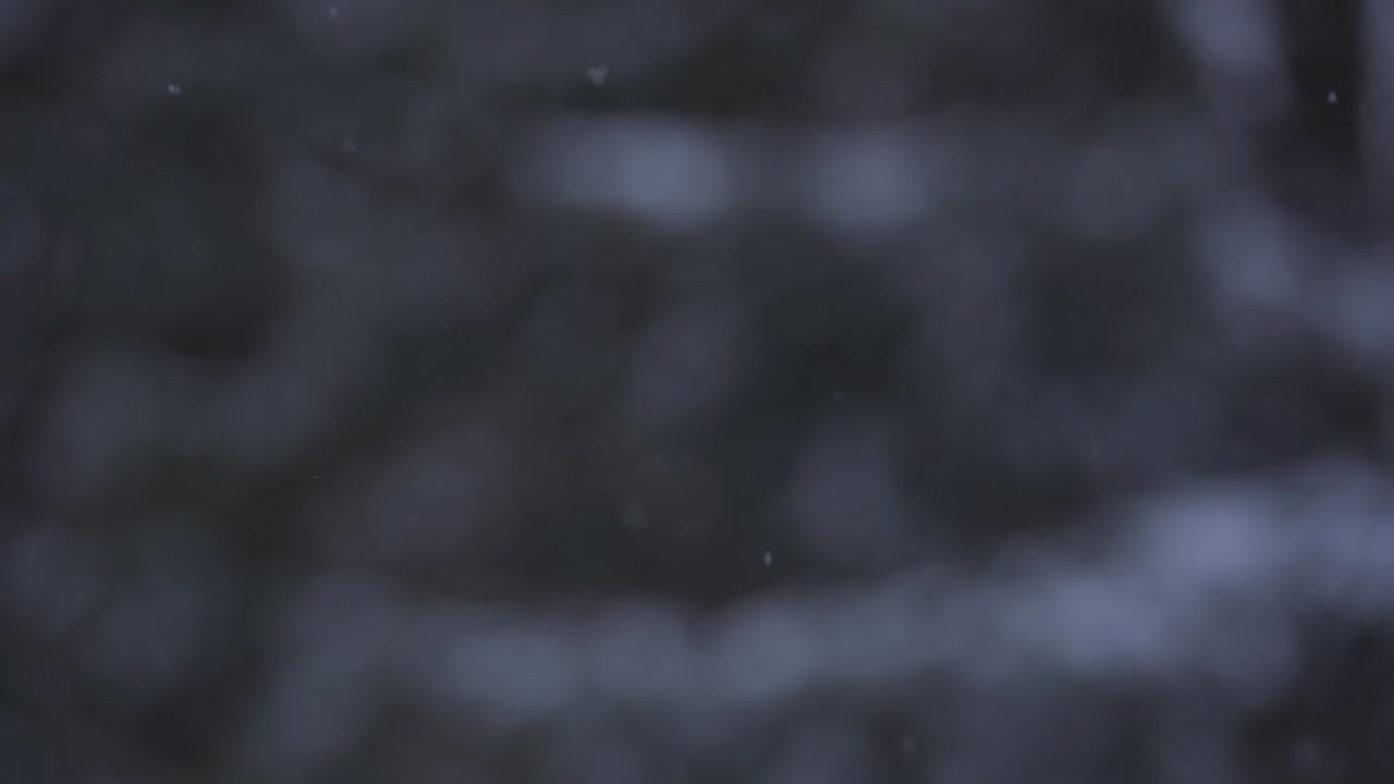Neve che cade al rallentatore, alberi della foresta sullo sfondo