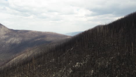 Wildfire-aftermath-that-ravaged-forests-on-mountains,-British-Columbia