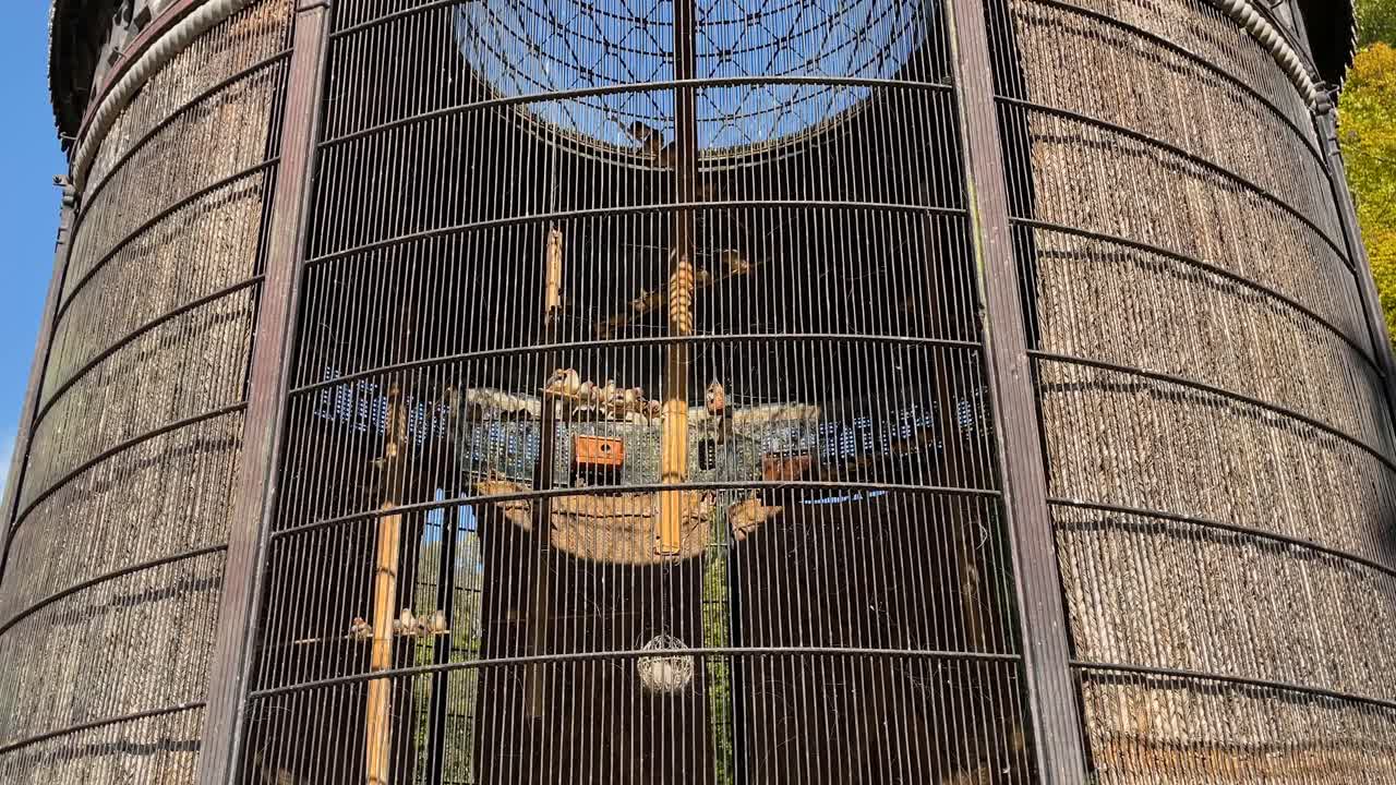 정원에 있는 큰 조류집은 원통 모양으로 만들어져 있고, 내부에는 줄이 있고, 구리 부분에는 그늘이 있고, 내부에서 어나오는 것을 볼 수 있습니다.