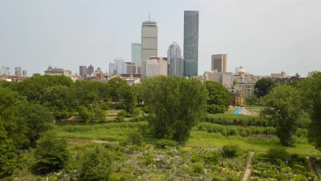 community garden in boston, skyline in background