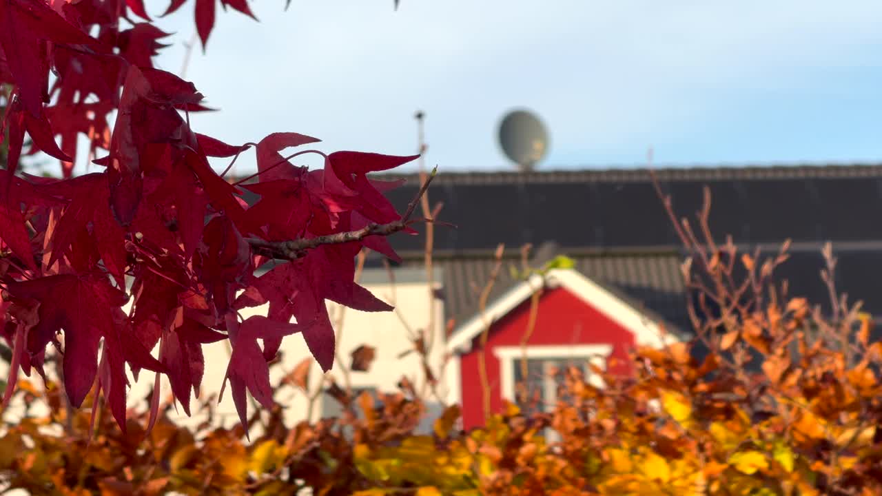 Autumn Leaves and House