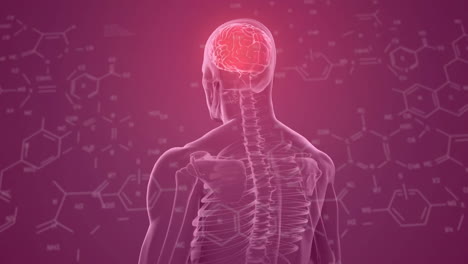 animation of element diagrams and male x ray scan with glowing red brain