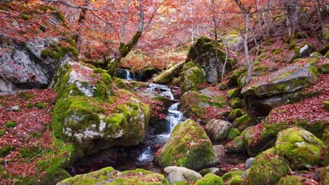 Pequeña-Cascada-En-El-Día-De-Otoño-En-El-Bosque