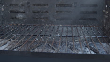 spraying cleaner on dirty bbq roster and scrubbing it with steel brush