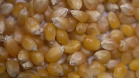 Closeup-footage-of-raw-popcorn-in-slow-motion