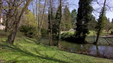 riverbed with a flowing river among the trees in a park in the city of olomouc, on a sunny spring day czech republic