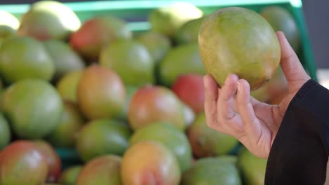 woman holding a mango at a market