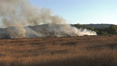 columna de humo que se forma a partir del fuego de los matorrales