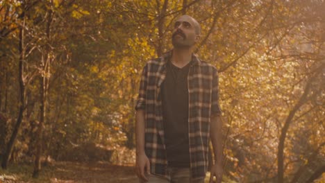 man walks away from camera in portuguese forest on golden autumn day. he loves nature and its colors. cozy and serene clip.