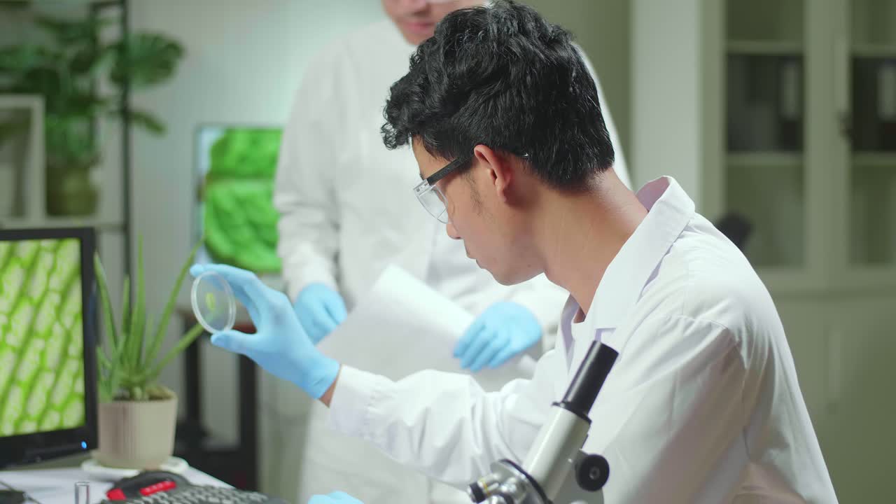 Medical Team Looking At Petri Dish With Leaf Sample Checking Gmo Test Scientist Researcher On Computer For Chemistry Experiment. Biologists Analyzing Plant In Biological Laboratory