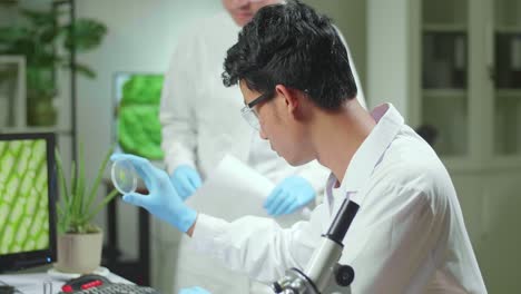 medical team looking at petri dish with leaf sample checking gmo test scientist researcher on computer for chemistry experiment. biologists analyzing plant in biological laboratory