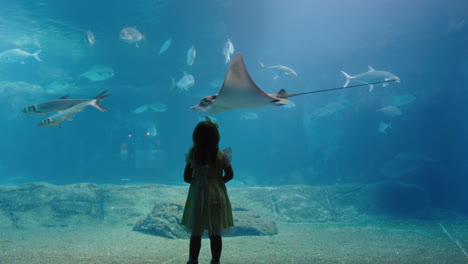 little girl in aquarium looking at stingray swimming in tank curious child watching marine animals in oceanarium having fun learning about sea life in aquatic habitat