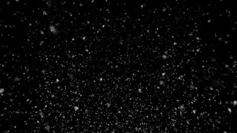 invierno, nieve que cae aislada sobre un fondo negro