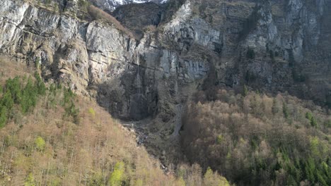 Majestätische-Felsige-Alpen,-Geschmückt-Mit-üppigen-Braungrünen-Wäldern-Aus-Alpenbäumen