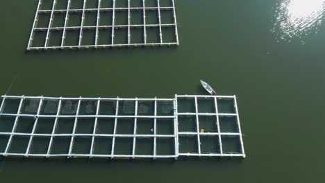 pisciculture floating fish farm in lake batur freshwater, aerial