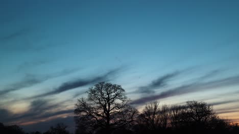 Aeroplano-Contrails-Lapso-De-Tiempo-Al-Atardecer