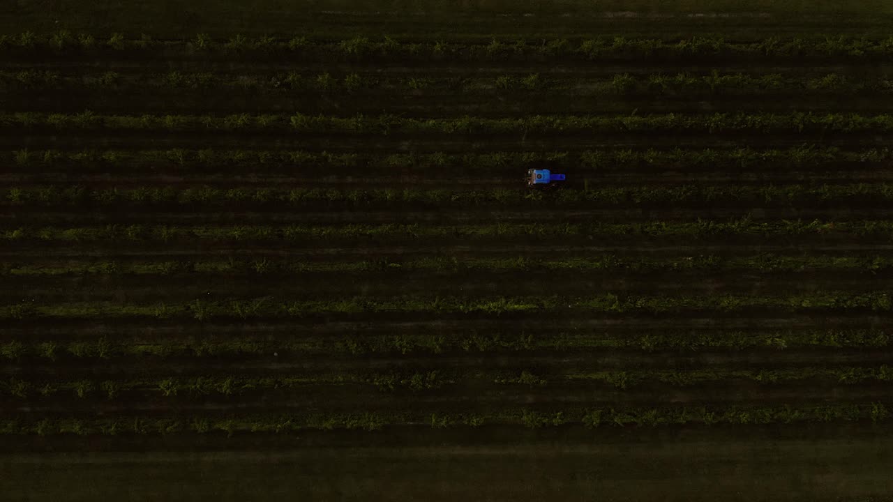 4k에서 포도원을 통해 운전하는 위에서 트랙터의 공중 샷