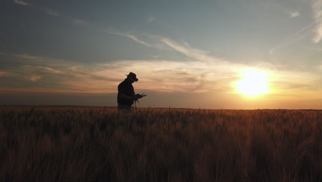 Silhouette-Eines-Agronomen,-Der-Während-Der-Goldenen-Stunde-Feldlandschaft-Auf-Ernten-überprüft