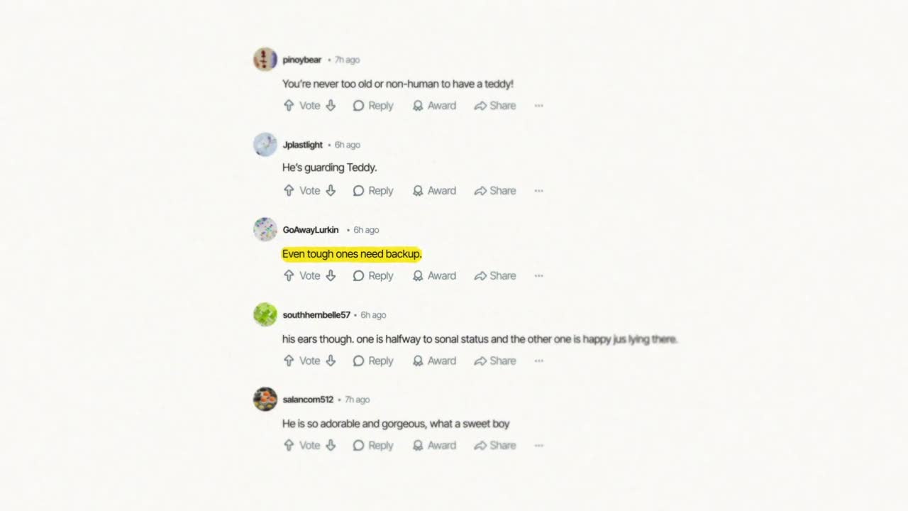 Match Cut Comments Displayed Across Social Media Platforms