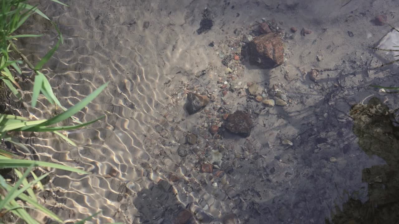 fondo arenoso de un arroyo forestal