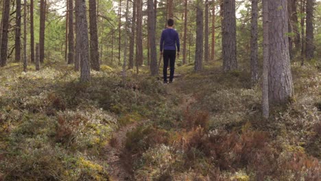 Back-view-of-man-enjoying-sunny-relaxing-day-in-forest,-deep-breath,-day