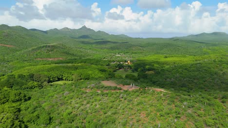 aerial orbit around hofi mango sculpture as cloud shadow passes on top