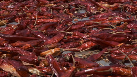 close up shot of dried spicy red chili peppers