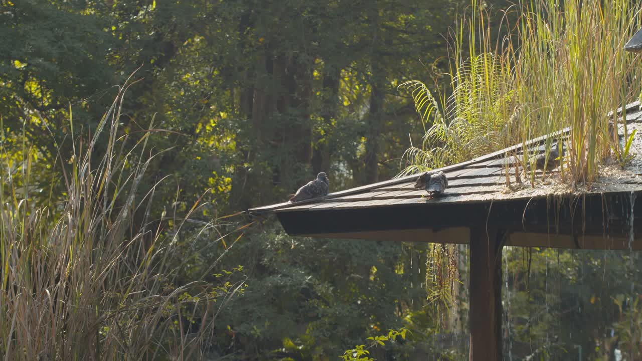 자연과 조화를 이루는 고요한 환경은 휴식과 명상을 할 수 있는 목가적인 정원 오아시스입니다.