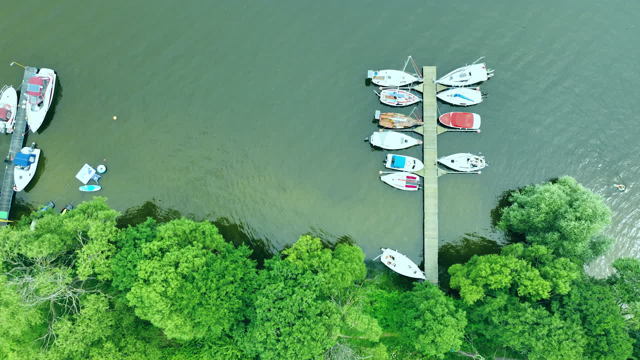 воздушный вид на небольшой док с несколькими лодками, пришвартованными вдоль него, расположенный рядом с пышными зелеными деревьями на краю воды