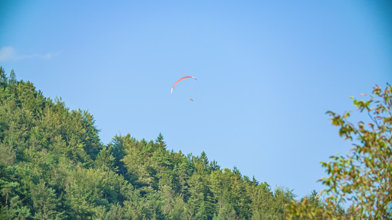 Paraglider pilot flies above green trees on hillside on blue sunny day