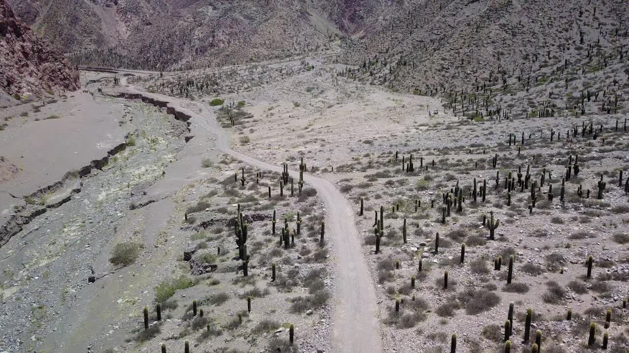 paisaje desértico del noroeste de argentina
