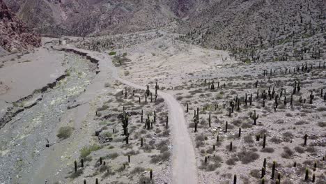 desert landscape of northwestern argentina