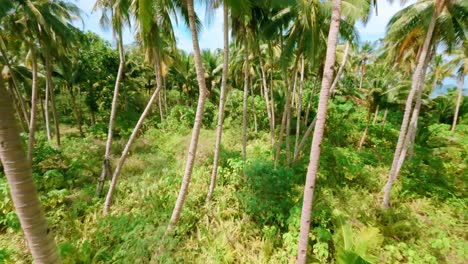 scenic fpv drone flyover of idyllic long beach on remote philippine island
