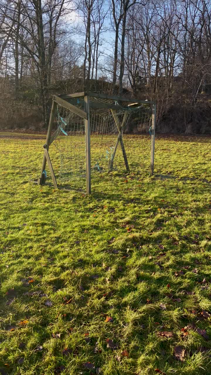 Wind blows through net in wooden soccer goal on lawn, vertical shot