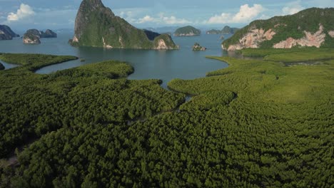 tilt shot of the mangrove trees of phang nga bay and the rocky islands of the bay