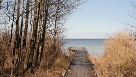 wooden jetty that is ending with a great view of the lake