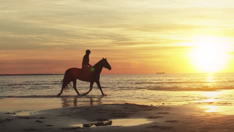 silueta de un jinete a caballo en la playa a la luz del atardecer. cámara lenta.