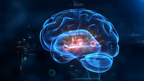 digital representation of the human brain with neural activity