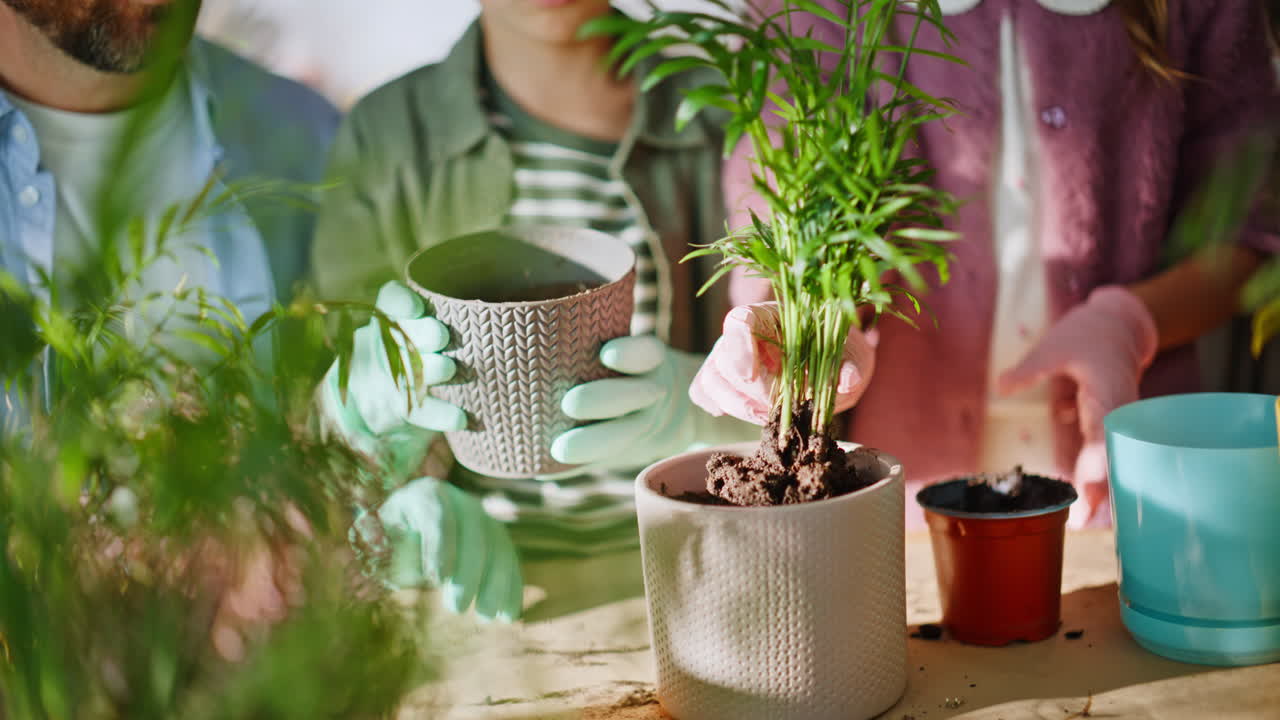 鉢植えの観葉植物を植え替える家族の子供たちのクローズアップ。父親が子供たちを指導しています。