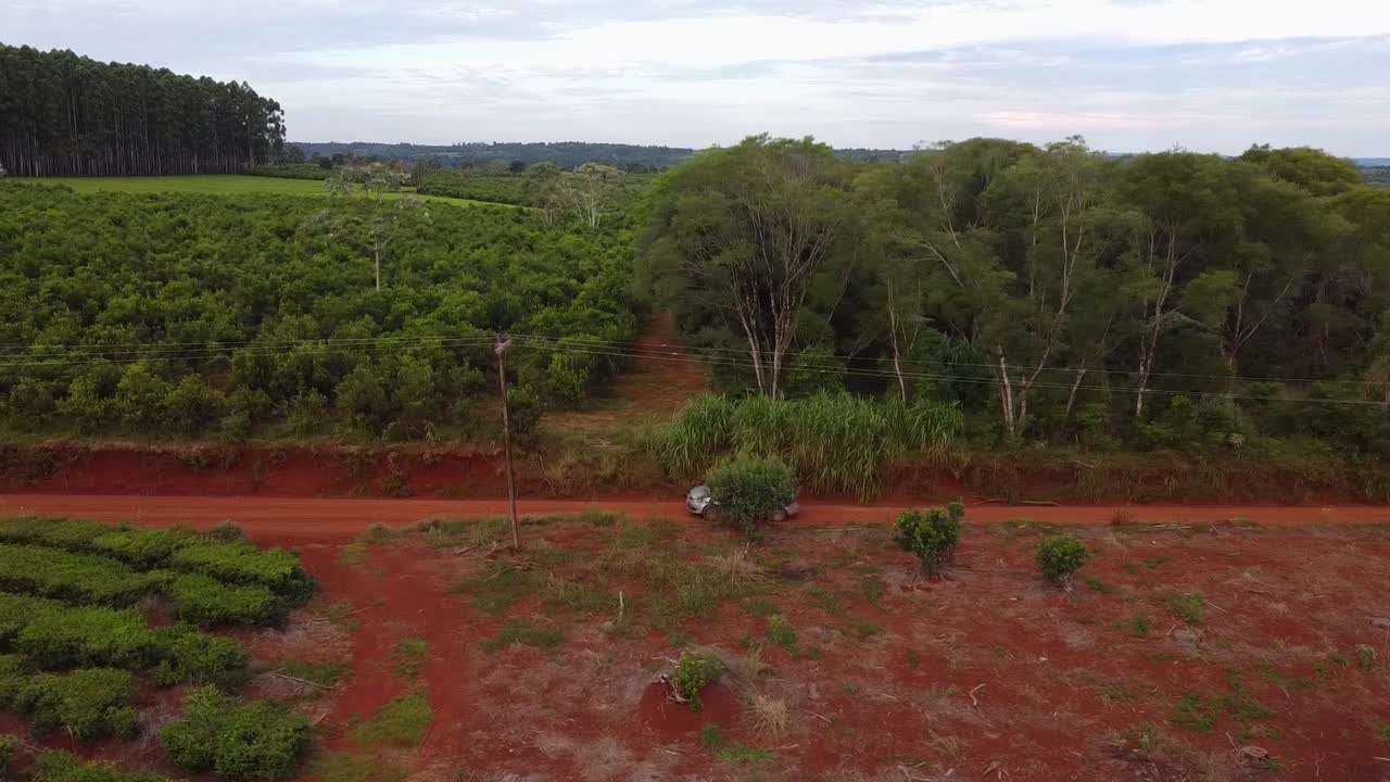Argentina's famous vineyards aerial view and the forestry in the background on the distance