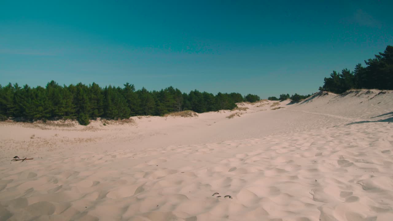 dunas de arena junto al bosque con cielo azul