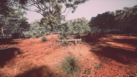 Región-De-Kimberley-En-El-Oeste-De-Australia