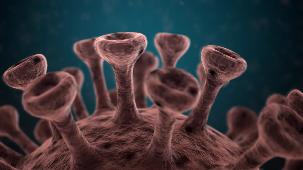 코로나19 코로나 바이러스 콘셉트 배경 루프의 애니메이션