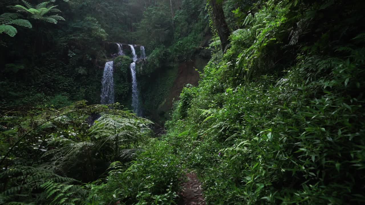 Inquadratura fissa e ampia di una cascata tropicale circondata da una fitta giungla pluviale in Indonesia