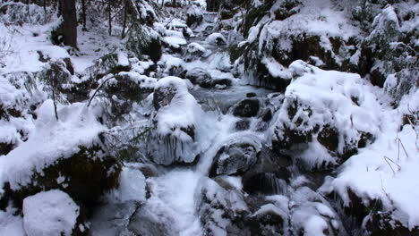 incline hacia arriba el movimiento de la cámara desde mirar hacia abajo a un arroyo que fluye a través de rocas y árboles cubiertos de hielo y nieve hasta una vista del arroyo a medida que fluye a través de un bosque nevado cerca de girwood alaska