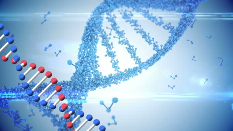 animación de dos cadenas de adn girando sobre moléculas azules flotando en el fondo
