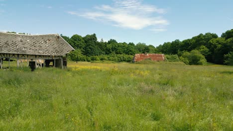 4K-Filmaufnahmen-Der-Natur-Einer-Drohne,-Die-An-Einem-Sonnigen-Tag-über-Einen-Wald-Mitten-In-Der-Französischen-Landschaft-In-Der-Normandie,-Frankreich,-Fliegt