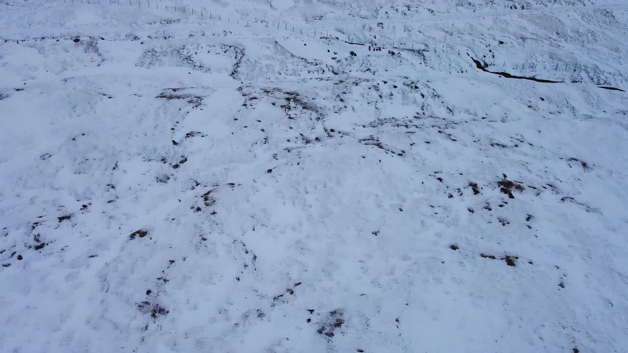 un dron aéreo disparó sobre una casa de ovejas con ovejas caminando en un paisaje nevado que sube a la montaña