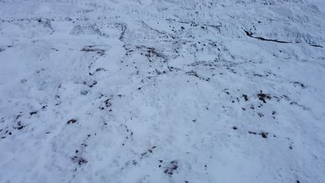 aerial drone shot above sheep house with sheep walking in snow landscape panning up to mountain